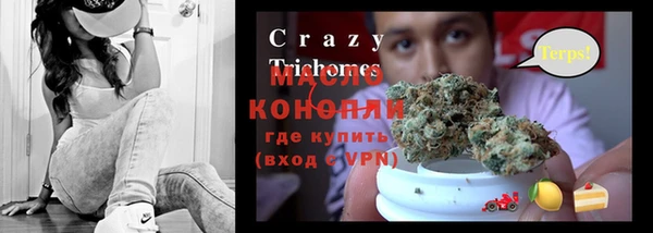 стафф Каменногорск