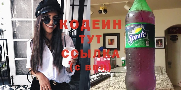 мдпв Каменка